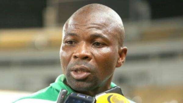 روكي سابيري