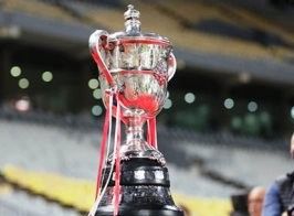 كأس مصر