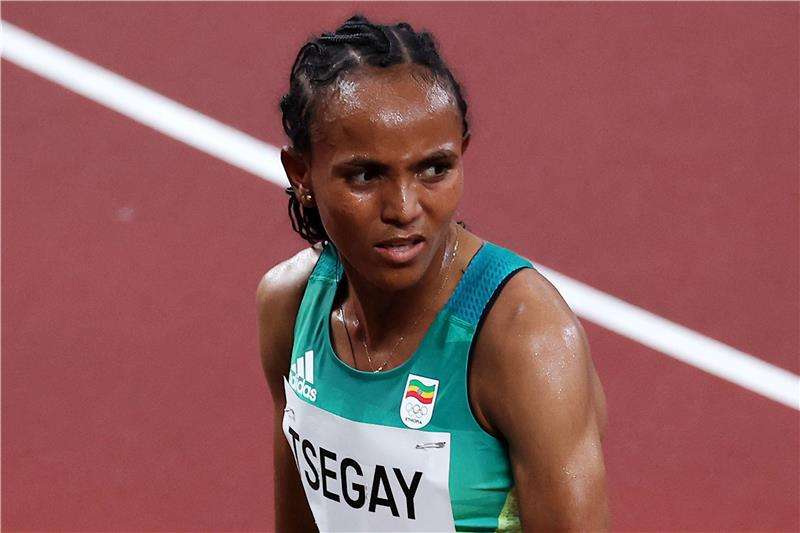 جوداف تيسجاي