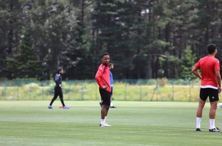 المامي تتاه