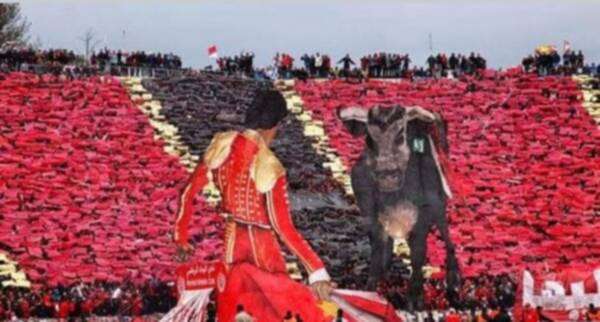 ألتراس الوداد - أرشيفية