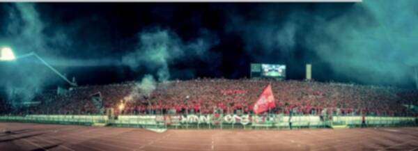 جمهور الوداد