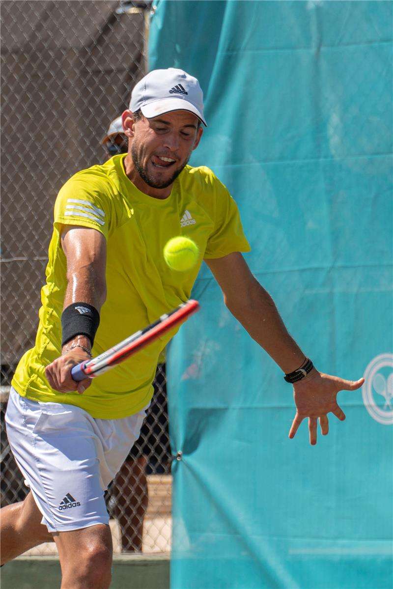 دومينيك ثيم