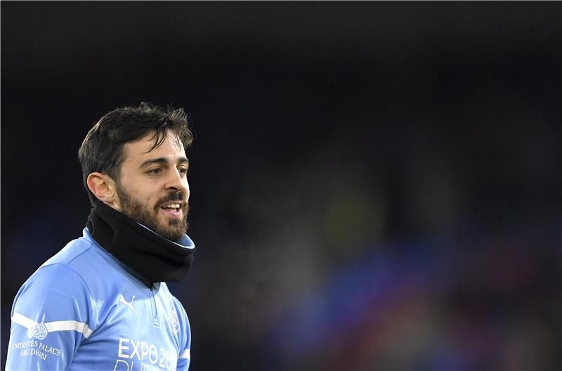 بيرناردو سيلفا