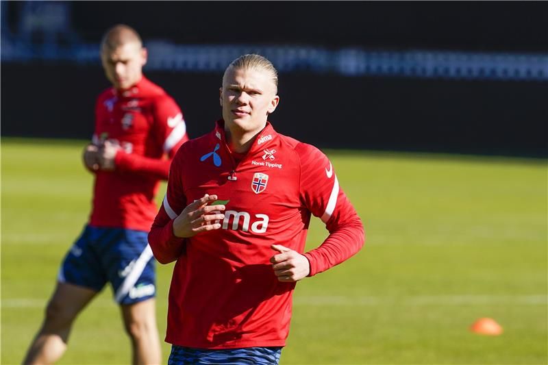 إرلينج هالاند