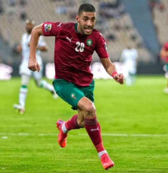 طارق تسيودالي