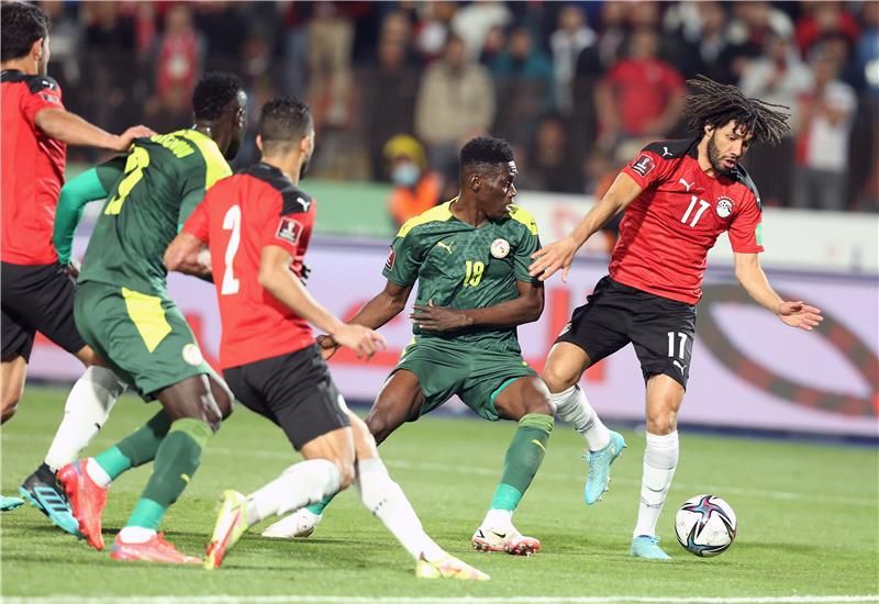 مصر والسنغال