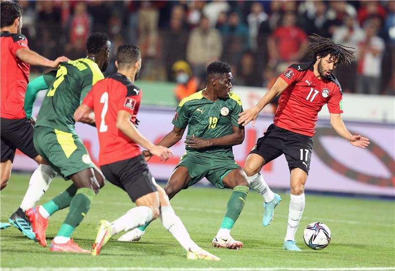 مصر والسنغال