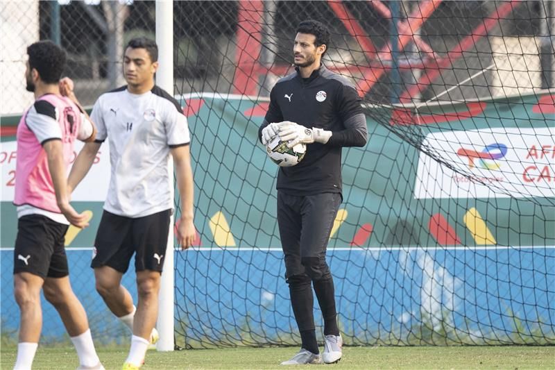 محمد الشناوي