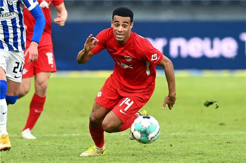 تايلر آدامز