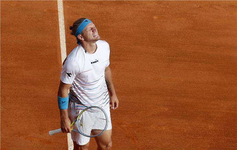 دافيدوفيتش 