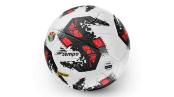 الكرة الرسمية للاتحاد الأردني