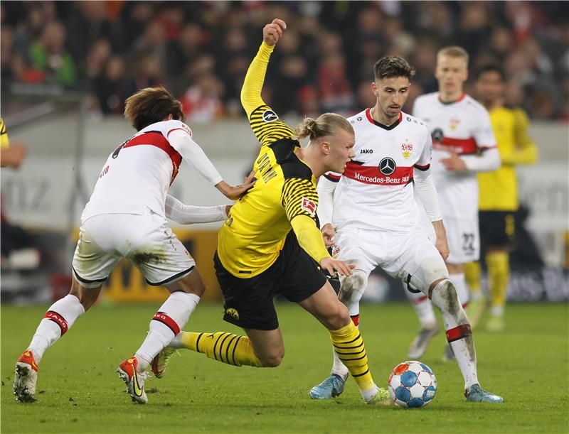 إيرلينج هالاند