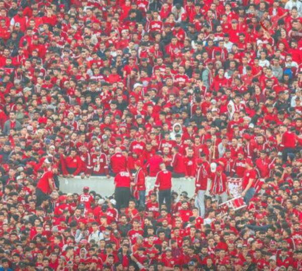 جمهور الوداد