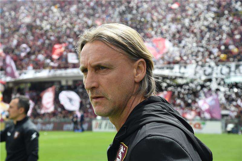 دافيد نيكولا