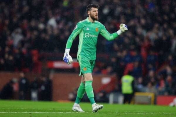 دافيد دي خيا