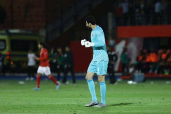 محمد الشناوي 