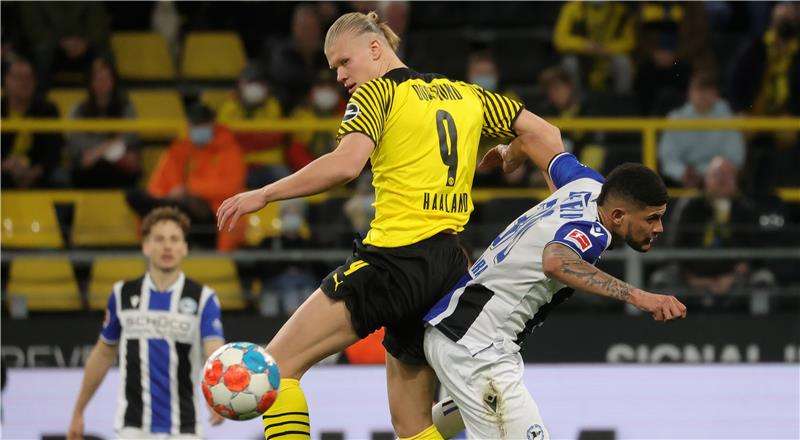 إيرلينج هالاند