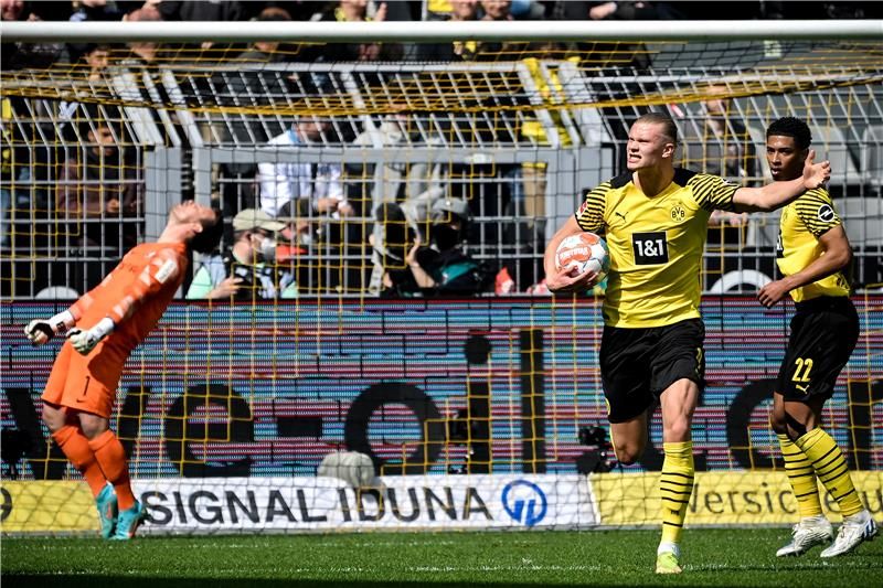 إرلينج هالاند