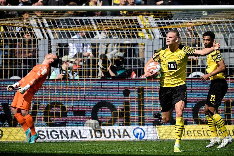 إرلينج هالاند