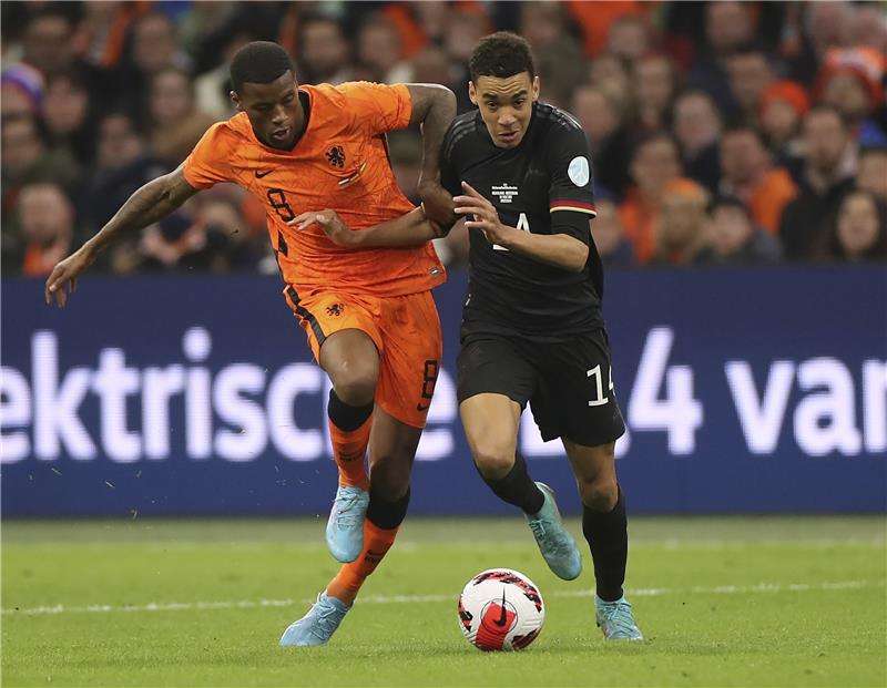 جيورجينو فينالدوم