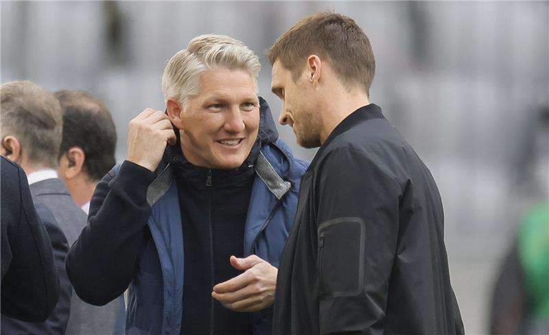 شفاينشتايجر