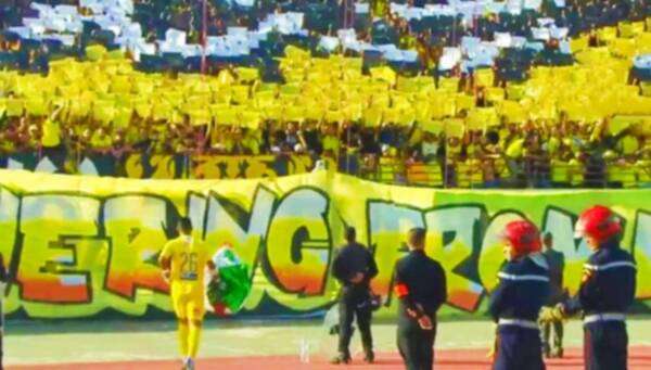 رضا التكناوتي