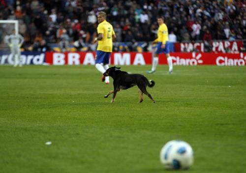 2011-07-032011-07-03t194734z_01_bas521_rtridsp_3_soccer-copa_reuters