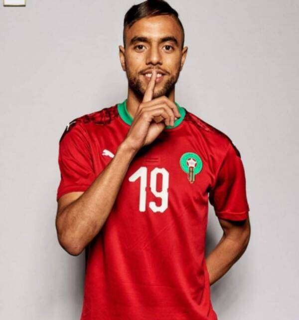 محمد الشيبي