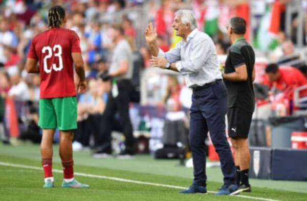 وحيد خليلوزيتش