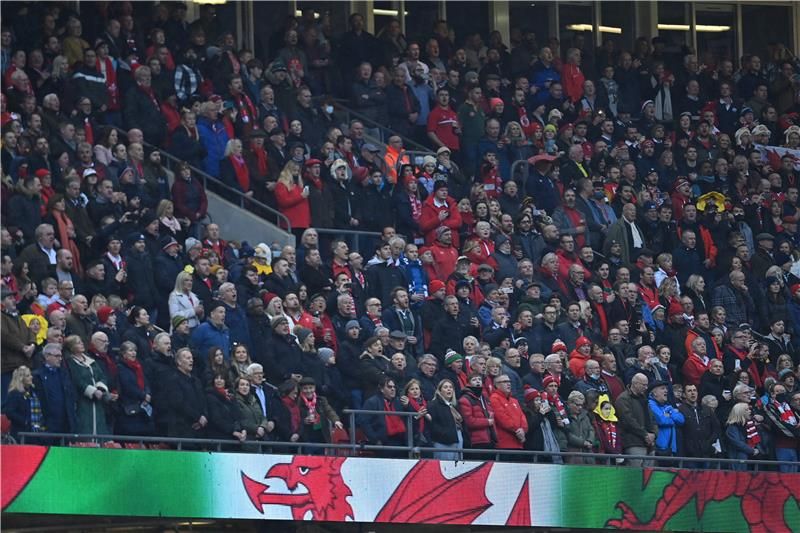 جماهير منتخب ويلز