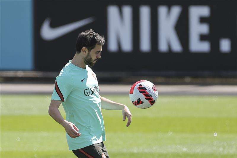 بيرناردو سيلفا