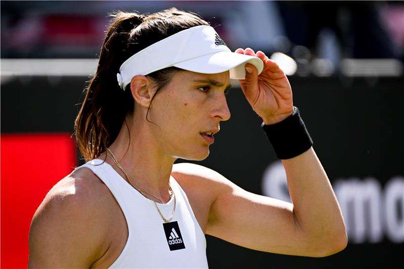 أندريا بيتكوفيتش