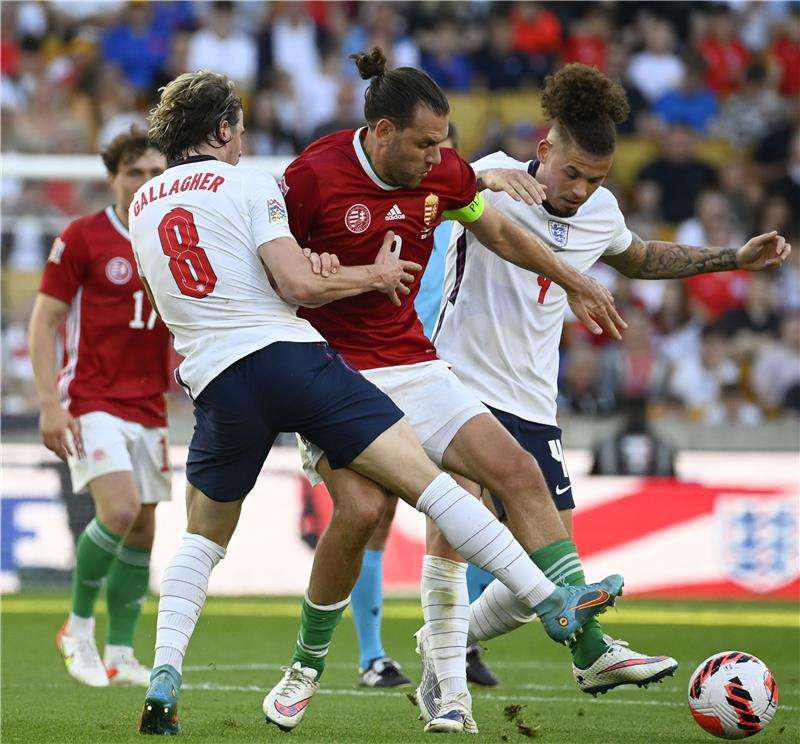 كالفن فيليبس