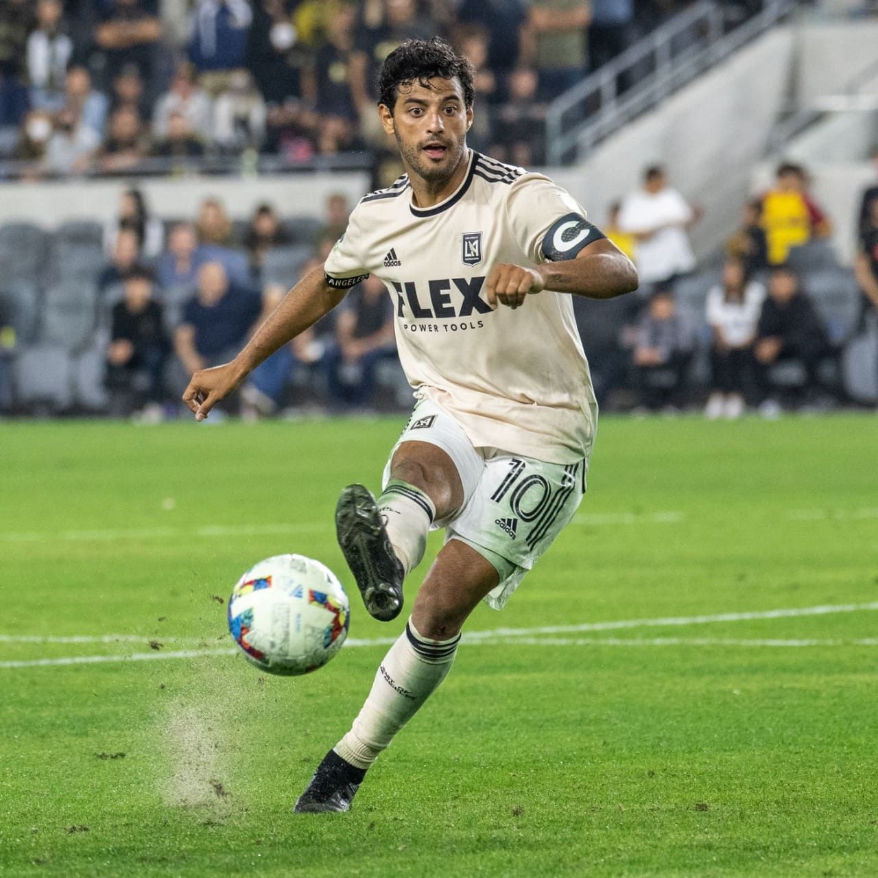 كارلوس فيلا