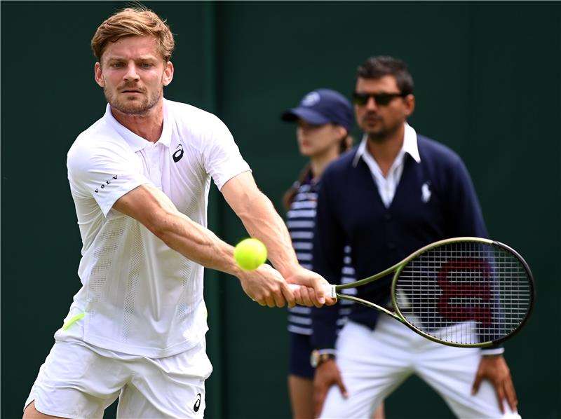 ديفيد جوفين