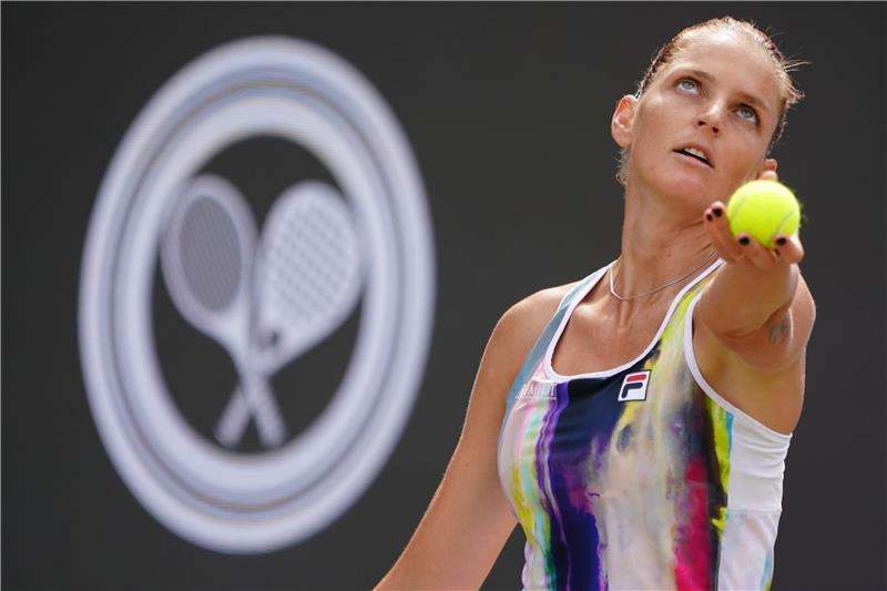 كارولينا بليسكوفا