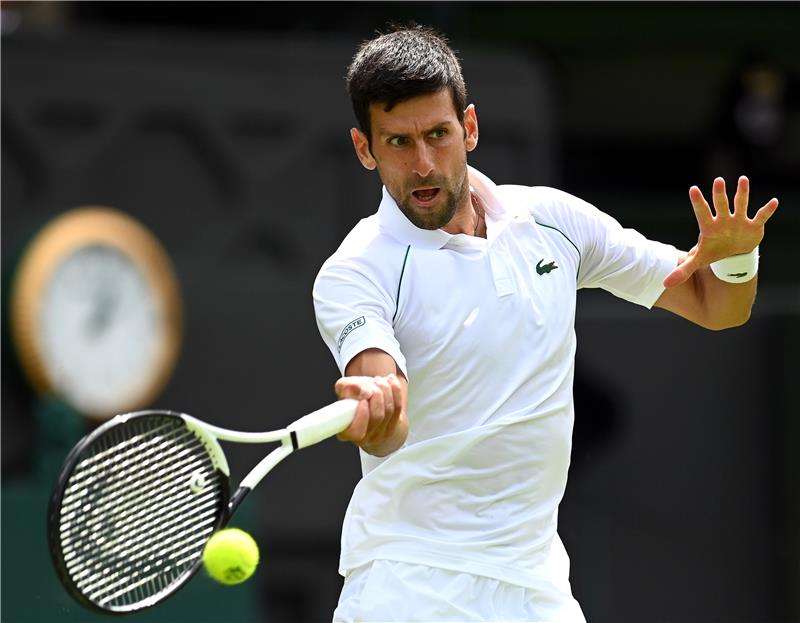 نوفاك ديوكوفيتش