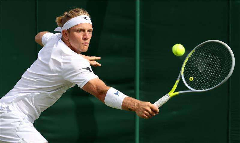 دافيدوفيتش