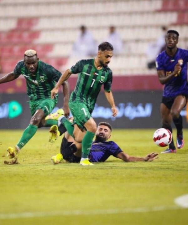 علي مدن
