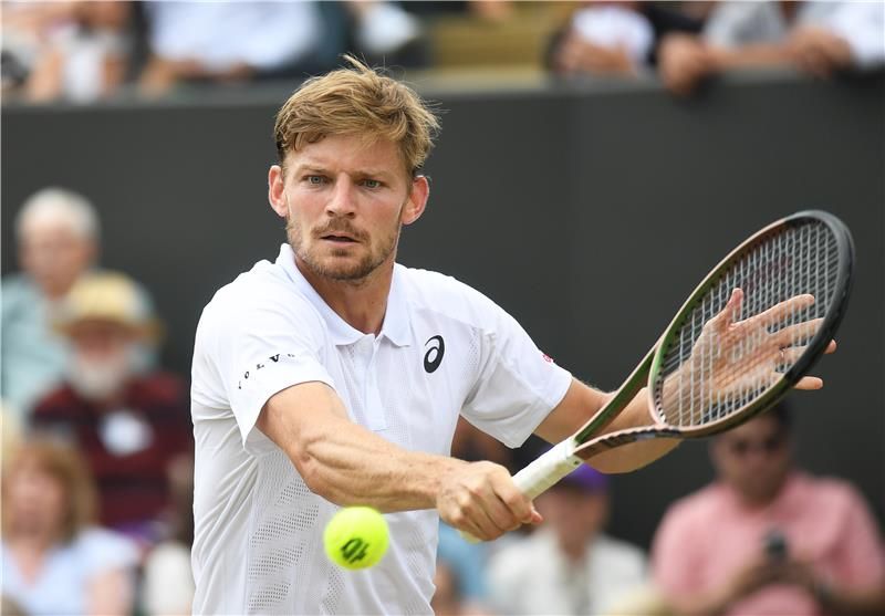 ديفيد جوفين