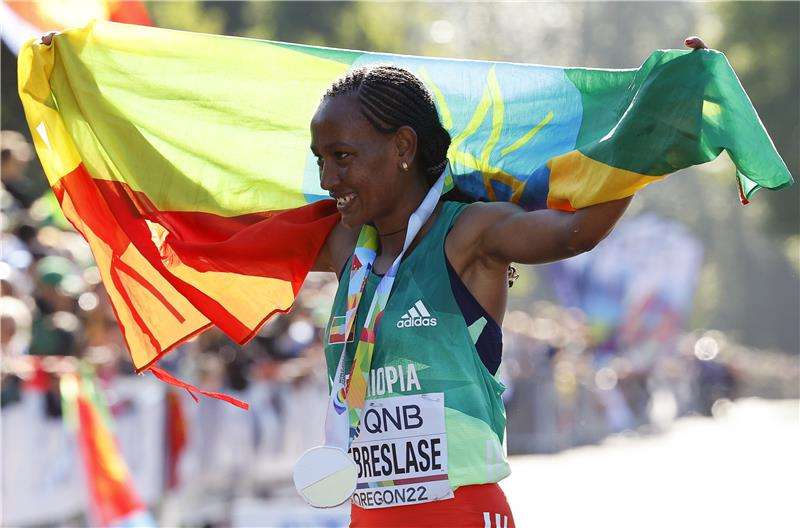 جوتيتوم جيبرسيس