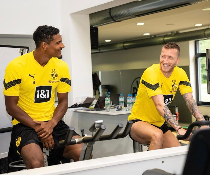 هالير (على اليسار)