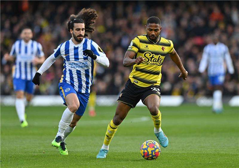 مارك كوكوريا