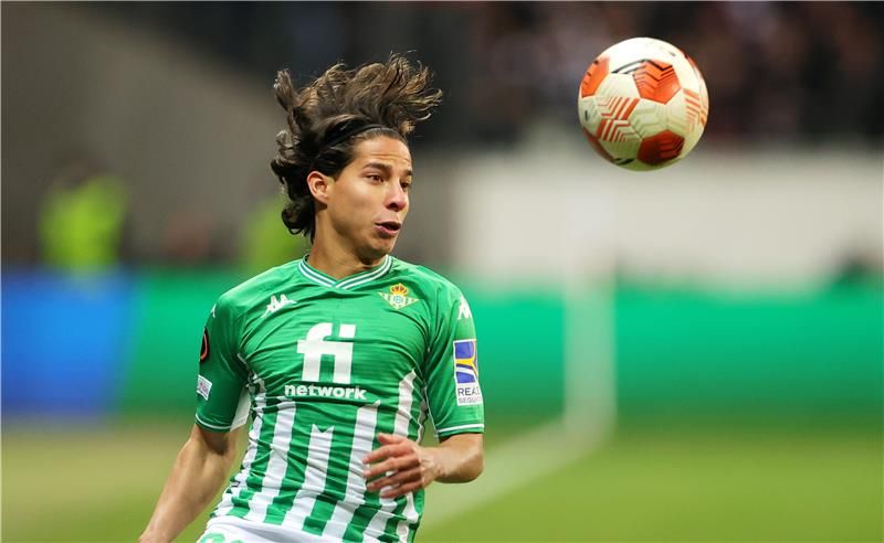 دييجو لاينز