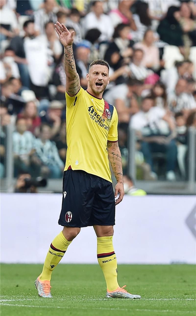 أرناوتوفيش