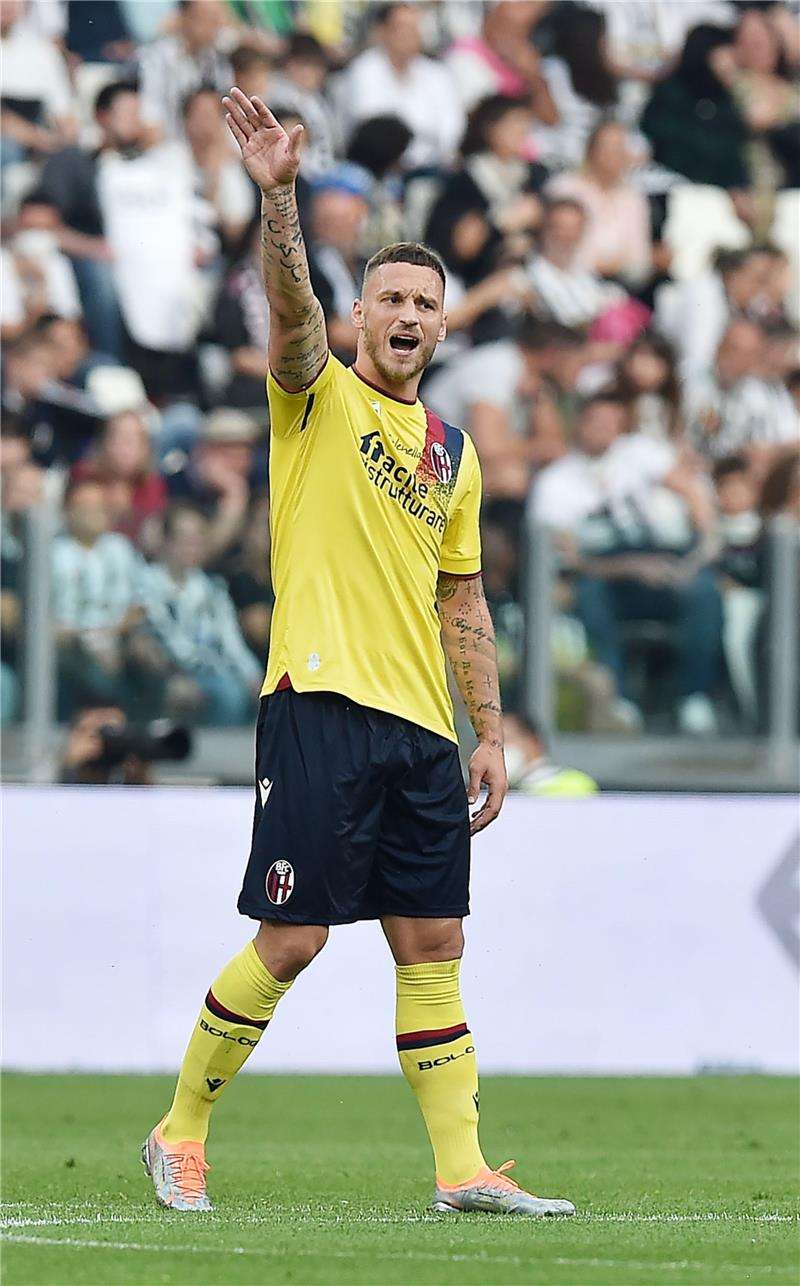 أرناوتوفيش