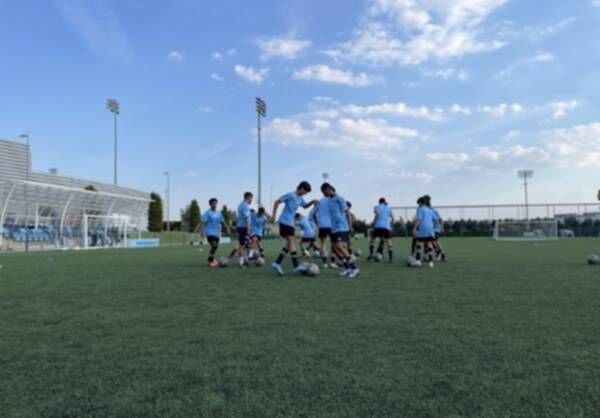 koo_382245