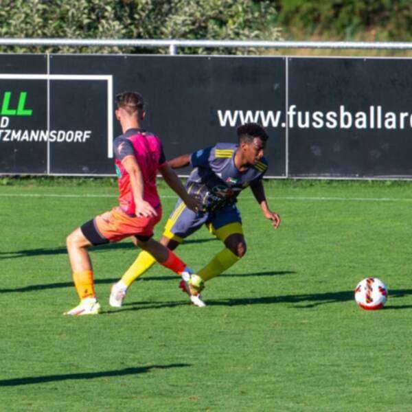 اتحاد كلباء