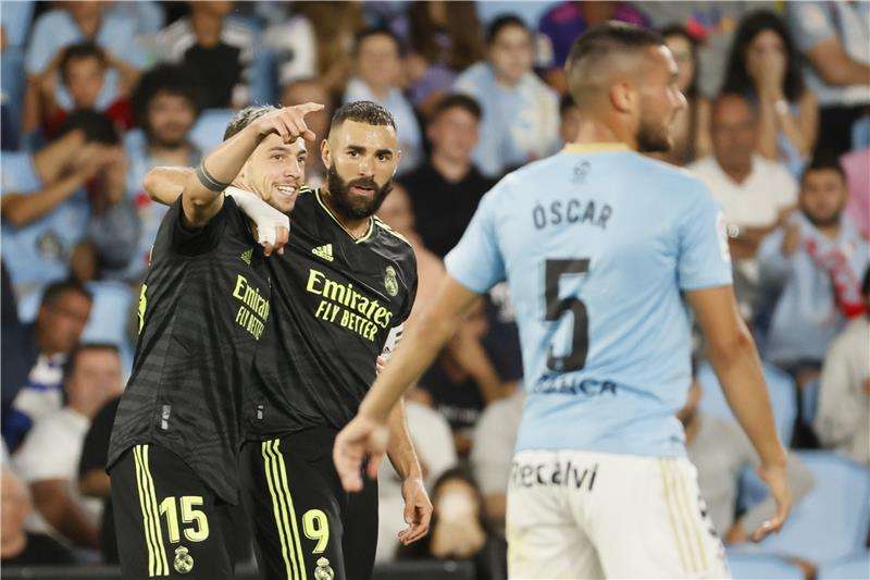 فيدي فالفيردي